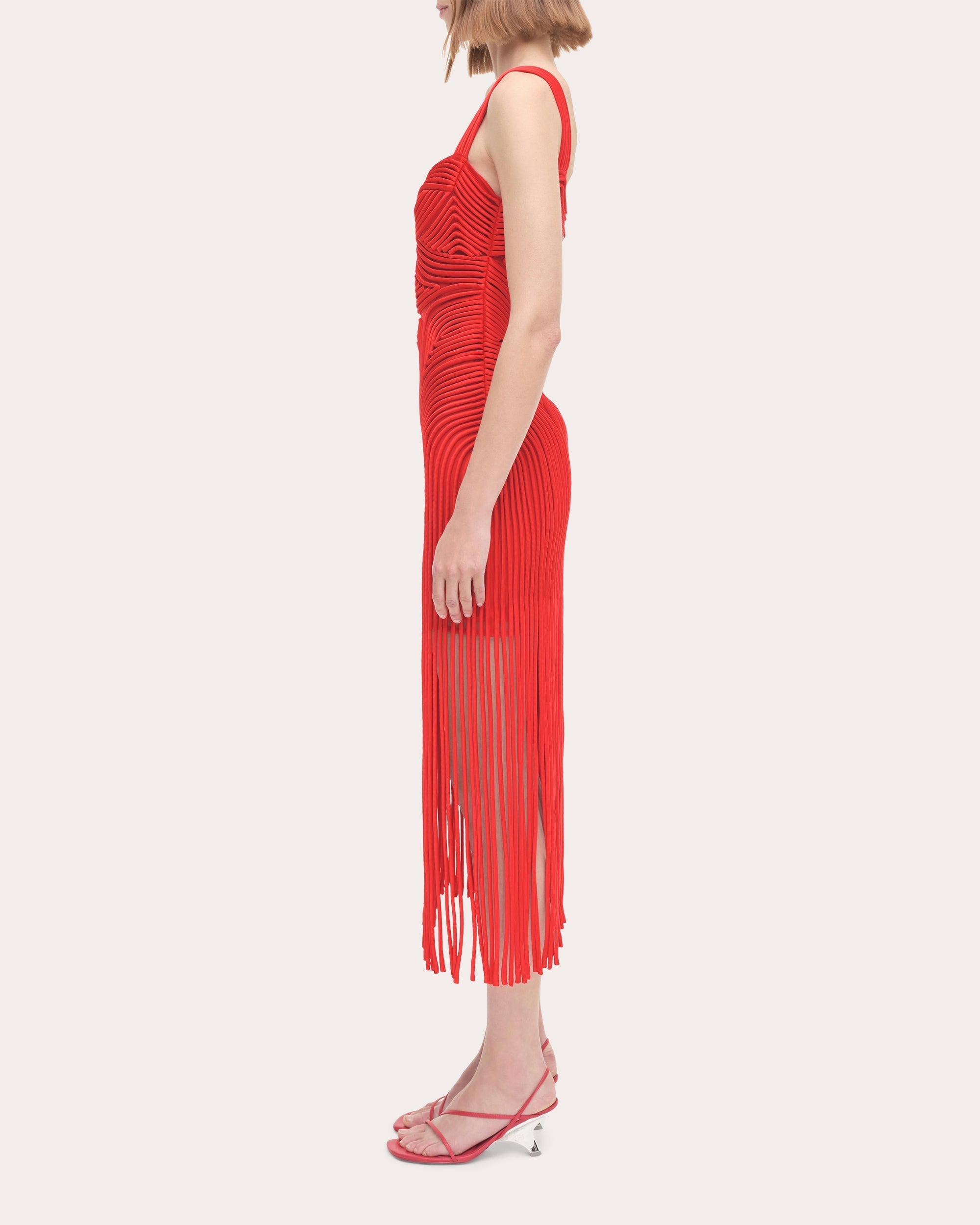 Darby Embroidered Fringe Midi Dress