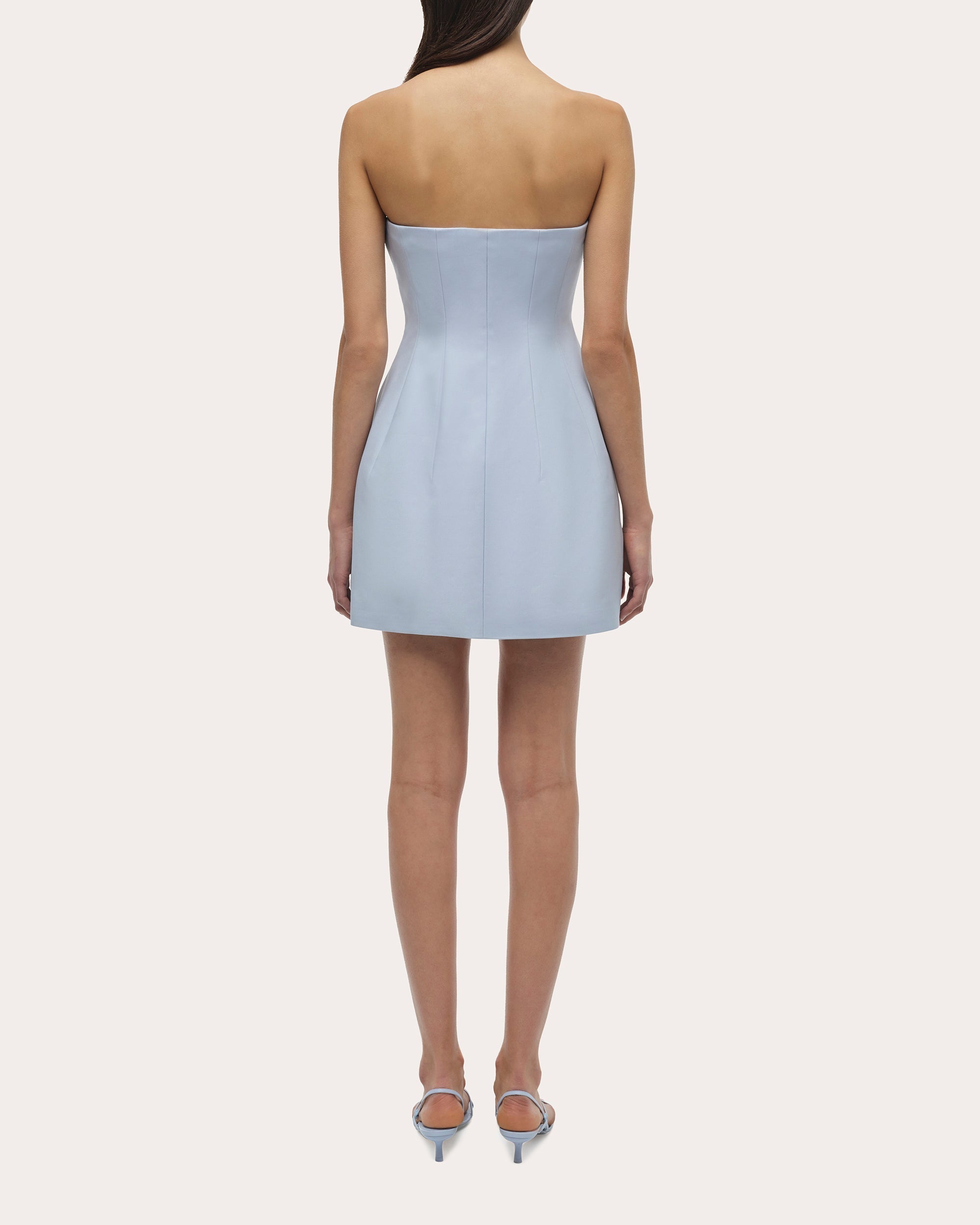 Arta Strapless Bustier Mini Dress