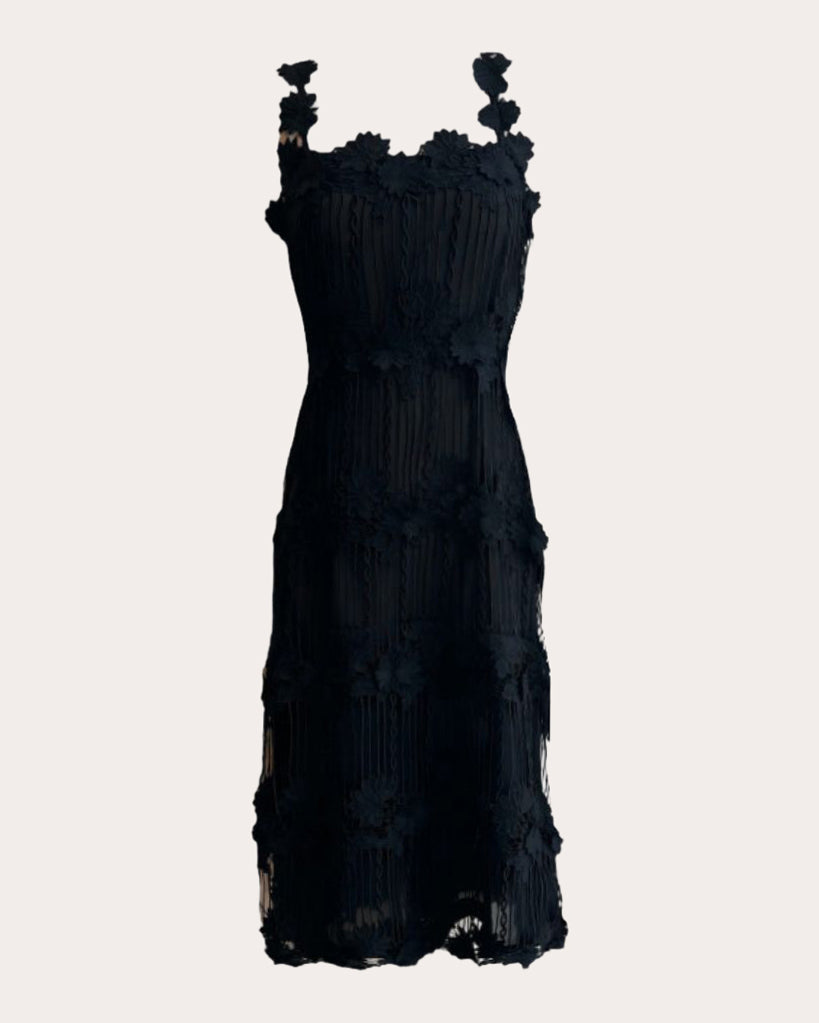 Hiara Floral Appliquéd Cotton Lace Dress