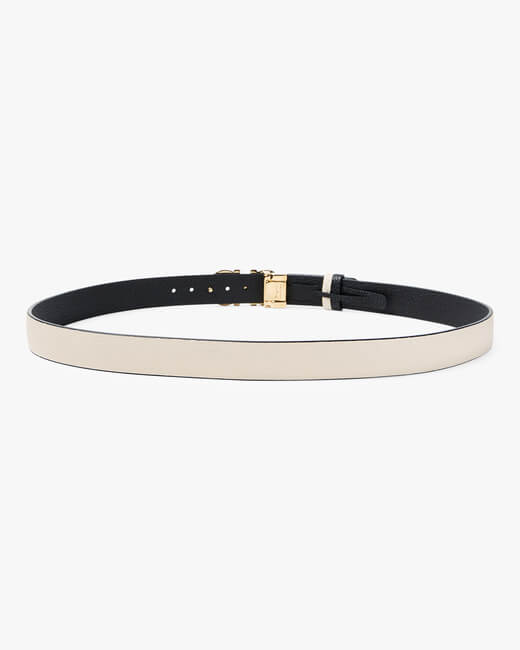 Reversible Belt