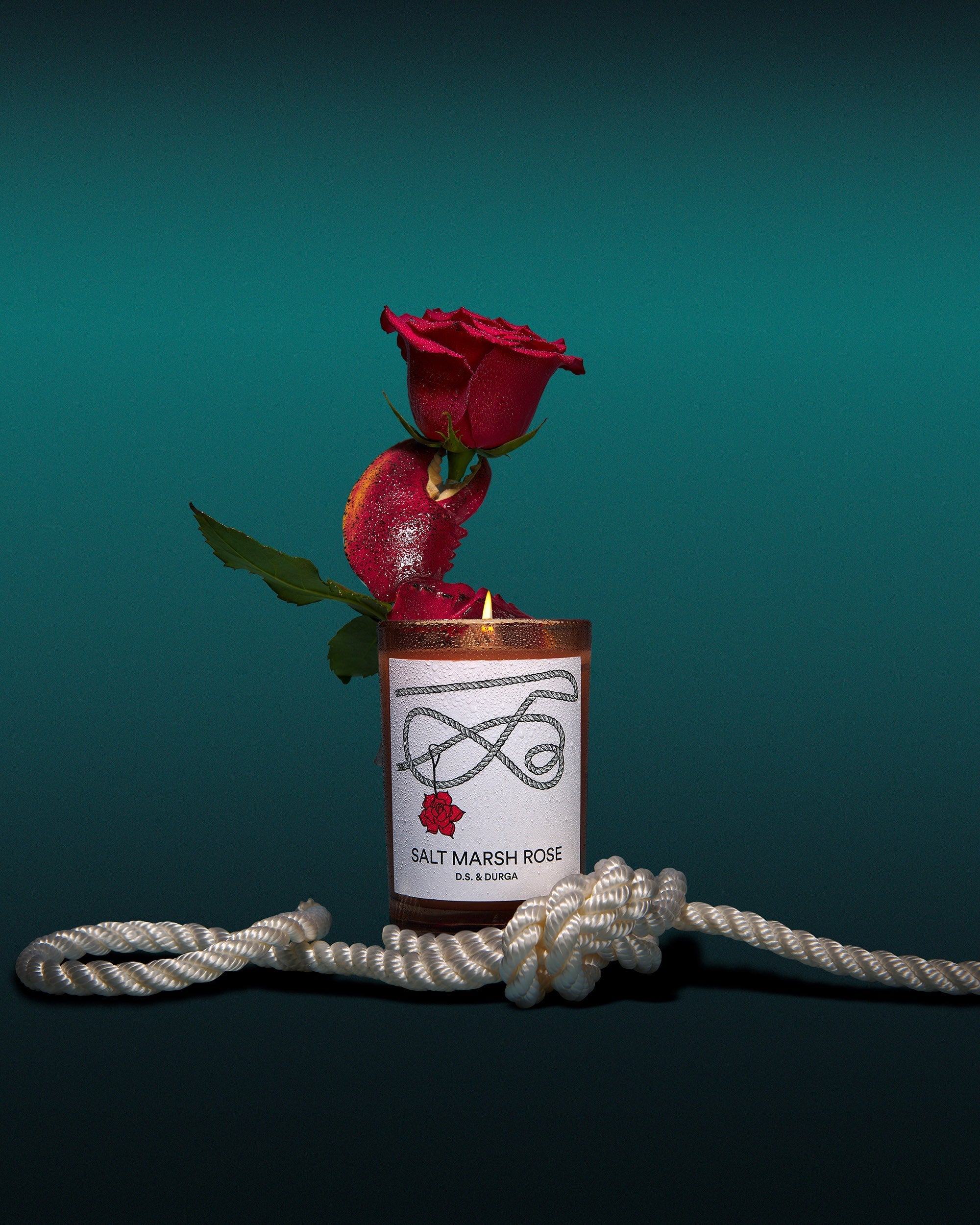 Salt Marsh Rose Candle 7oz