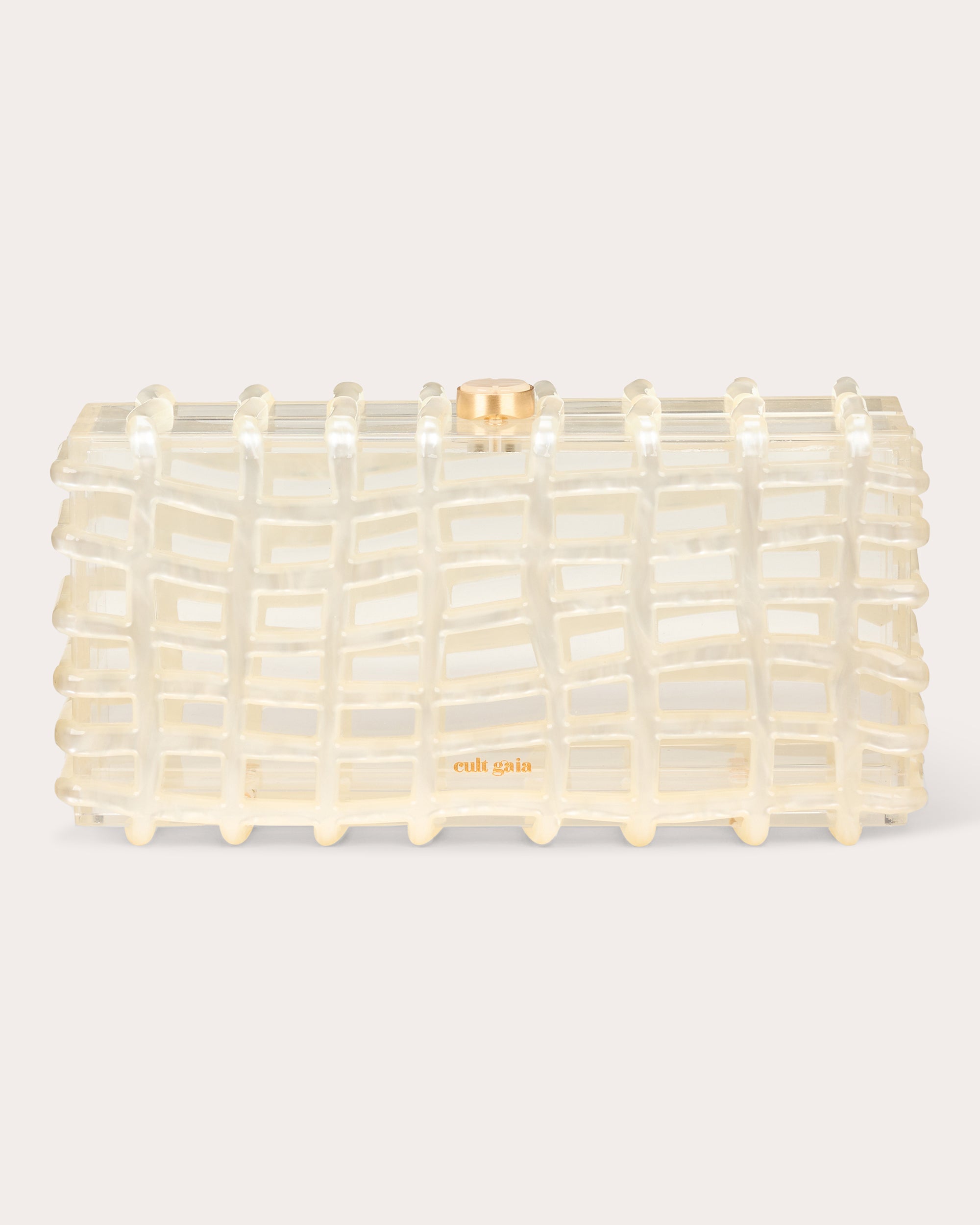 Rina Transparent Clutch