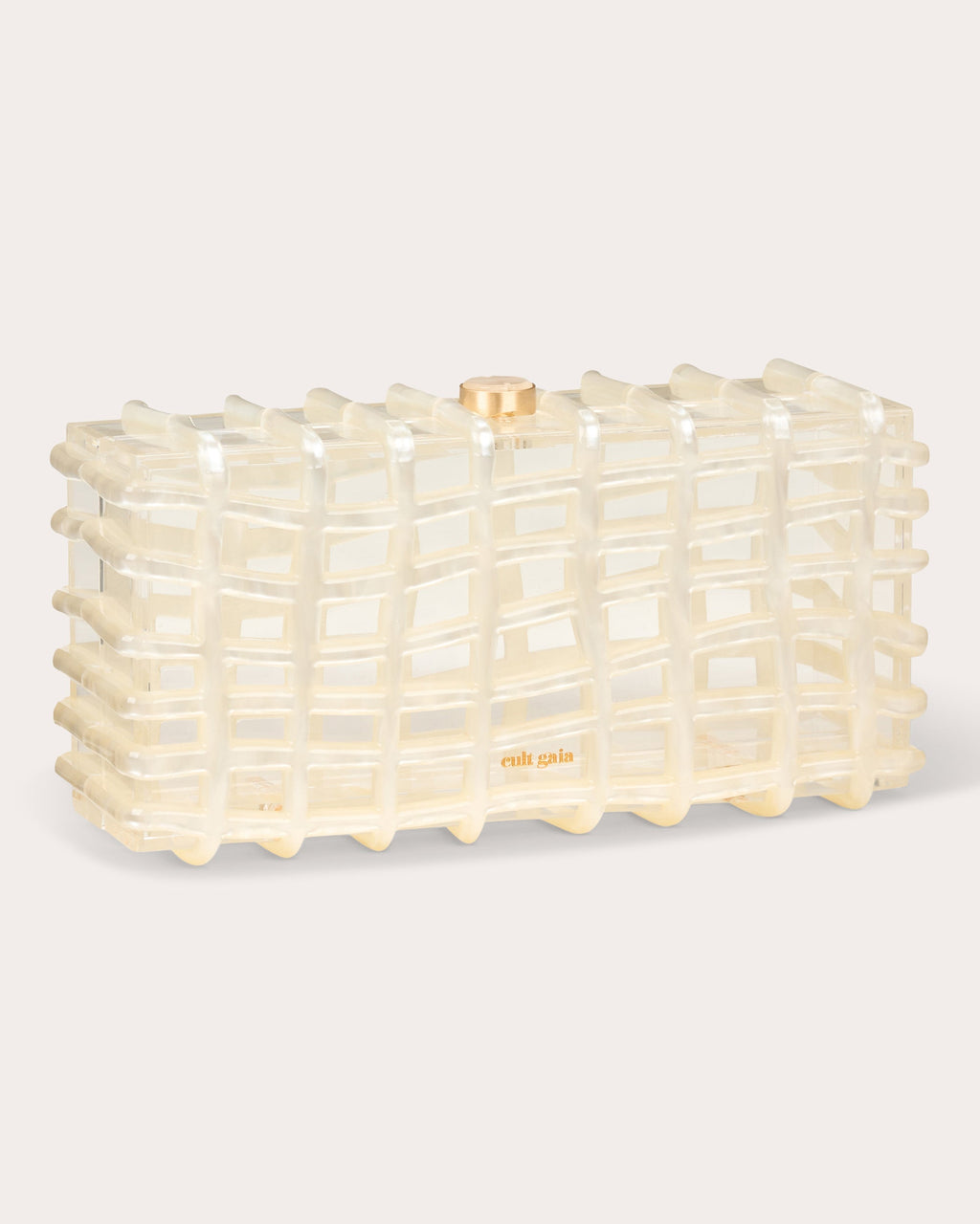Rina Transparent Clutch