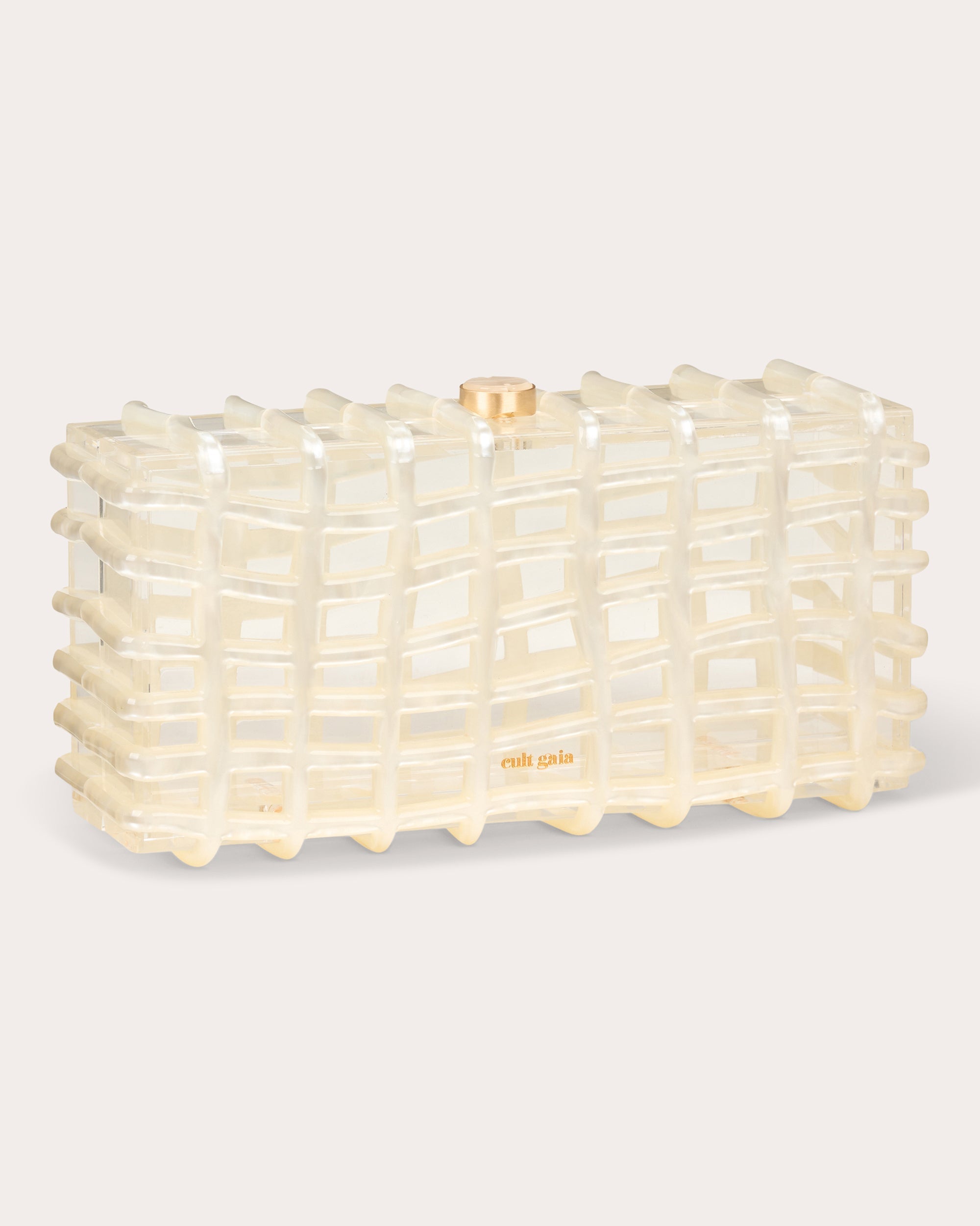 Rina Transparent Clutch