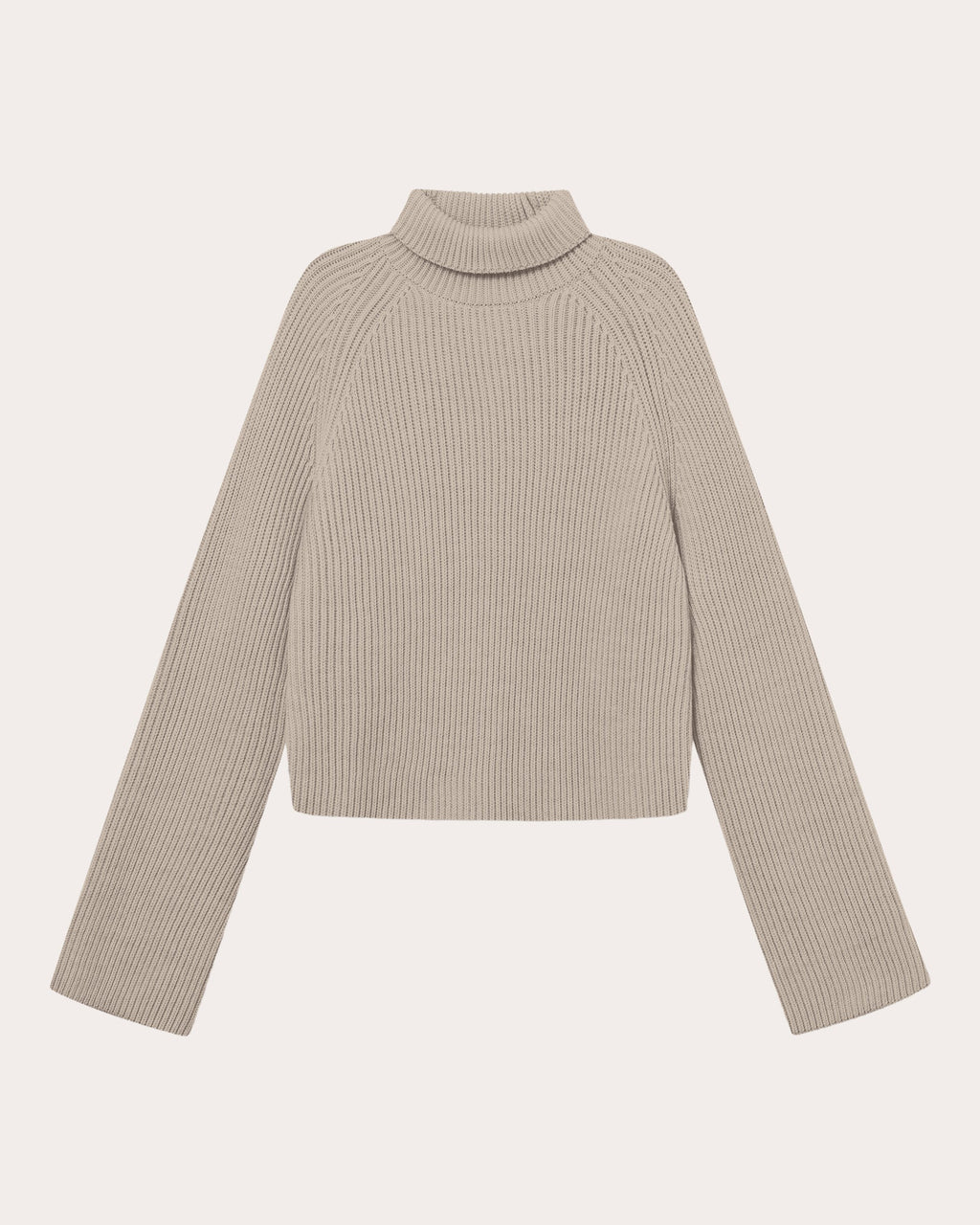 Kornelle Ribbed Wool Turtleneck Sweater