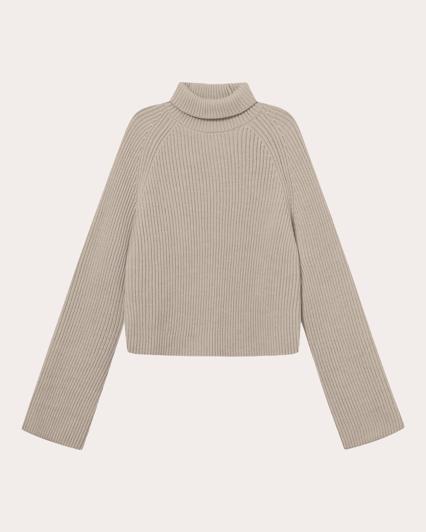 Kornelle Ribbed Wool Turtleneck Sweater
