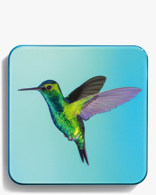 Cool Hummingbird Quartet