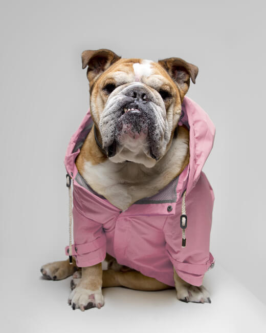 Talon Raincoat