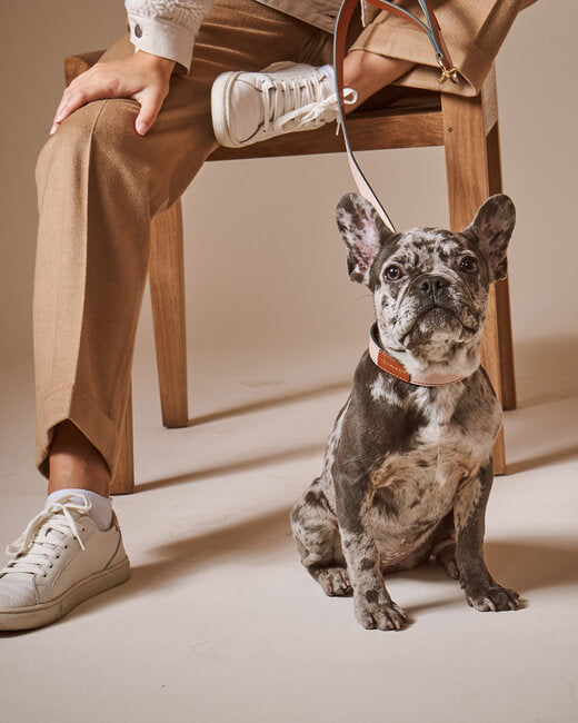 Stella Leash
