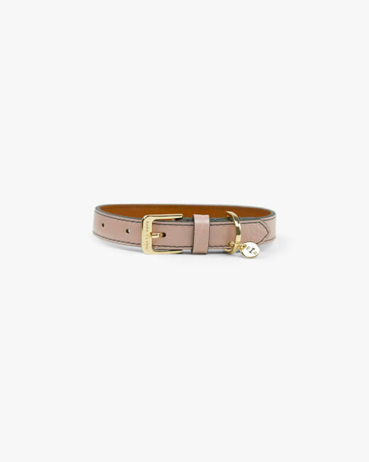 Stella Dog Collar
