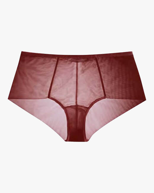 Canova Mesh High-Waist Panty
