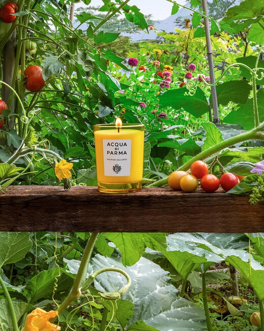 Profumi Dell 'Orto Candle