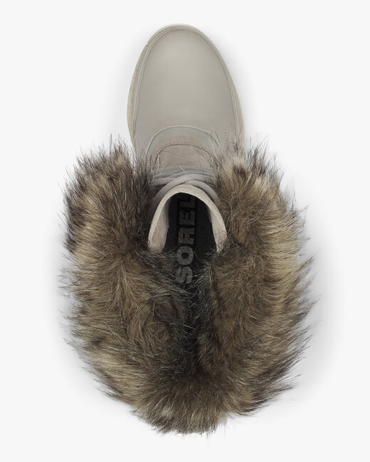 Joan Of Arctic Next Boot