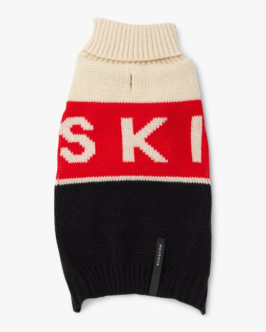 Ski Jumper