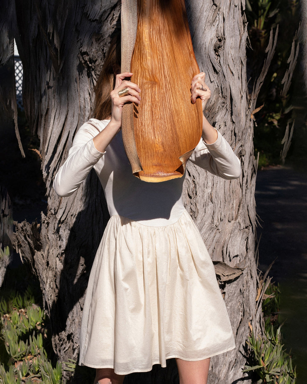 Ilara Gathered Cotton Voile Mini Dress