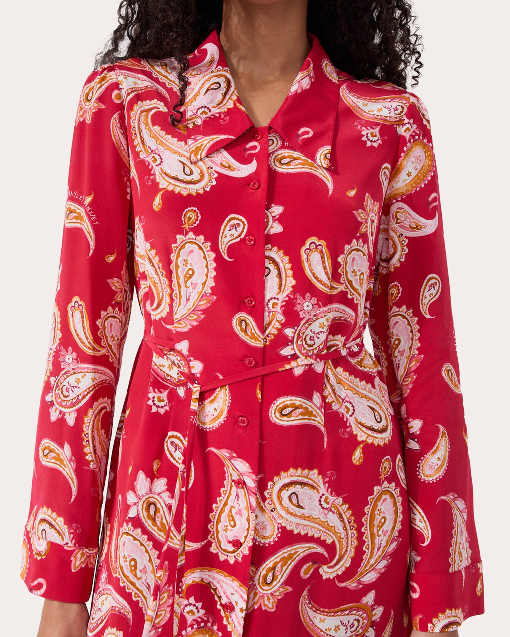 Jimi Paisley-Print Silk Midi Shirt Dress