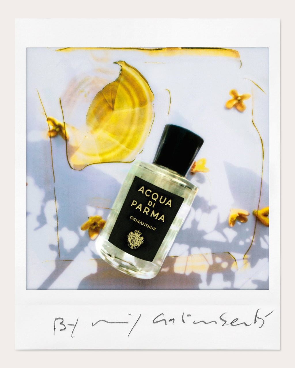 Osmanthus Eau de Parfum