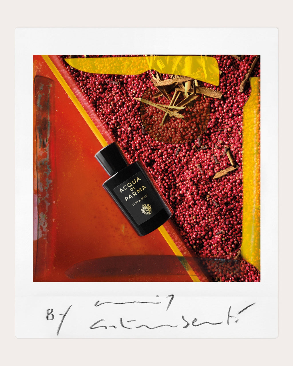 Oud & Spice Eau de Parfum