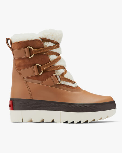 Joan of Arctic Next Boot