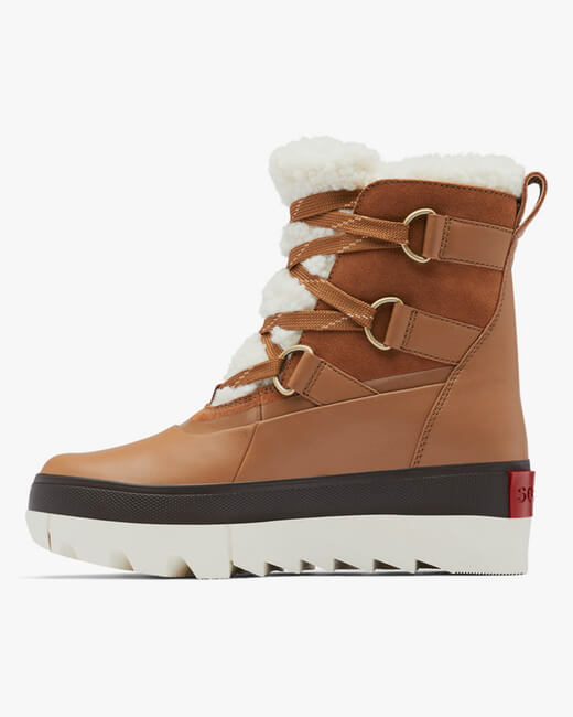 Joan of Arctic Next Boot