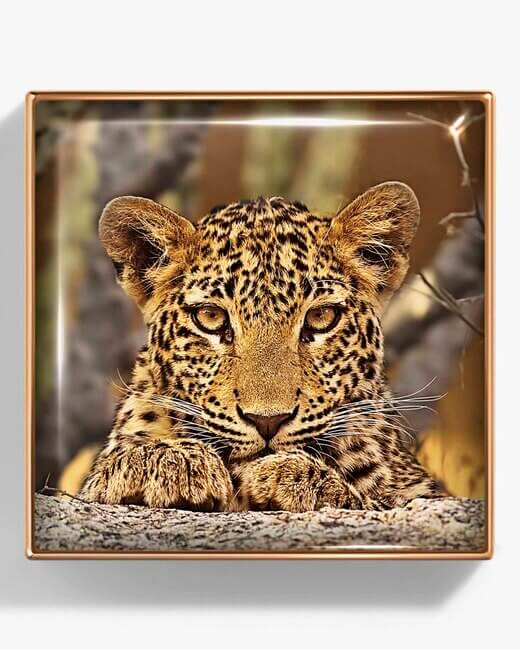 Leopard Luminescent Eye Shade