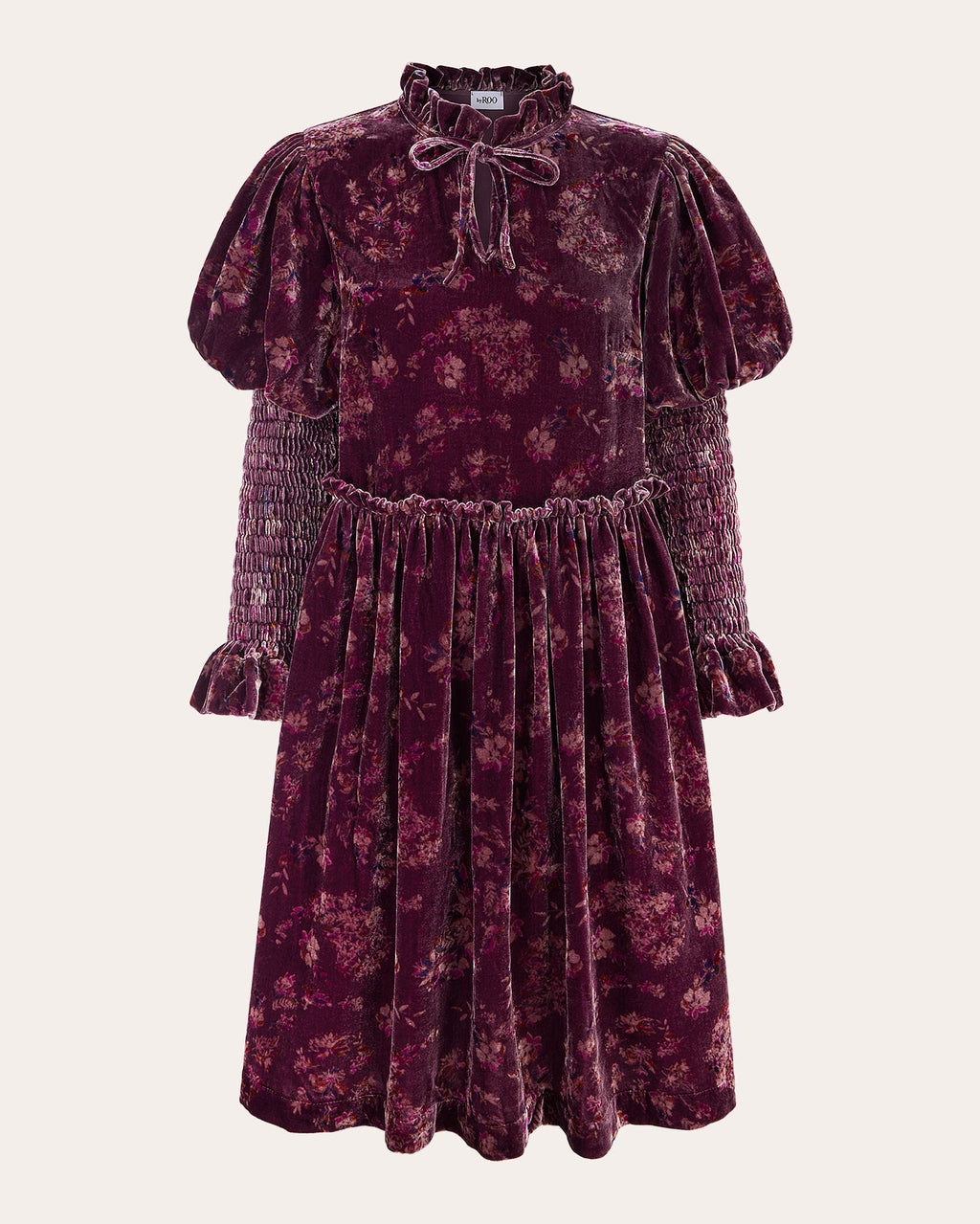 Isabella Shirred Printed Velvet Mini Dress