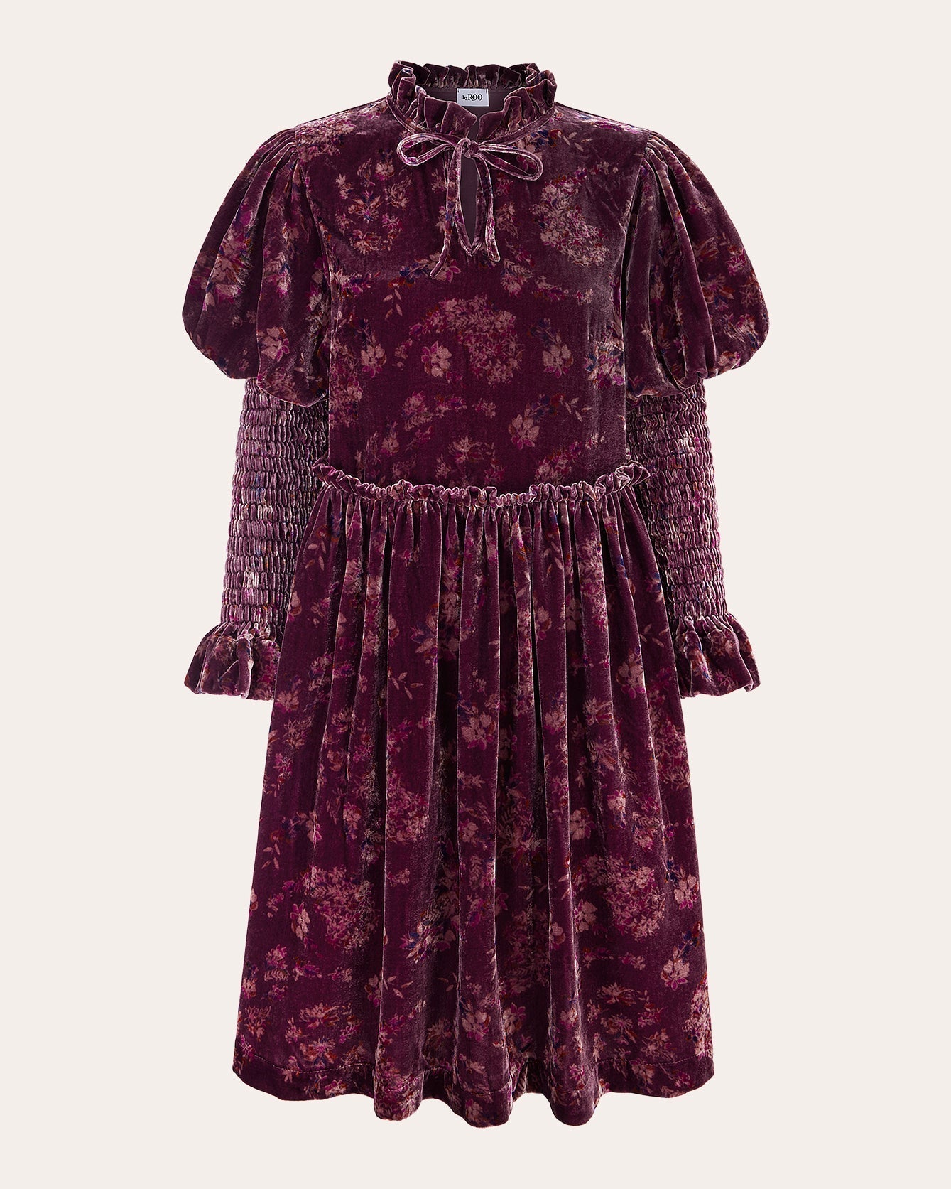 Isabella Shirred Printed Velvet Mini Dress