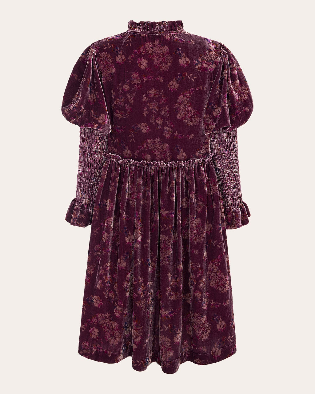 Isabella Shirred Printed Velvet Mini Dress