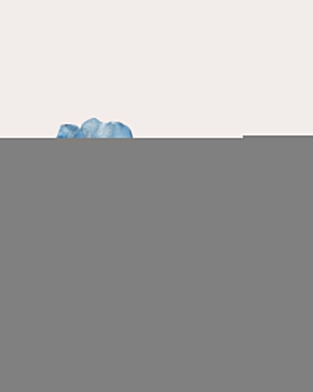 Aqua Camelia Stud Earrings
