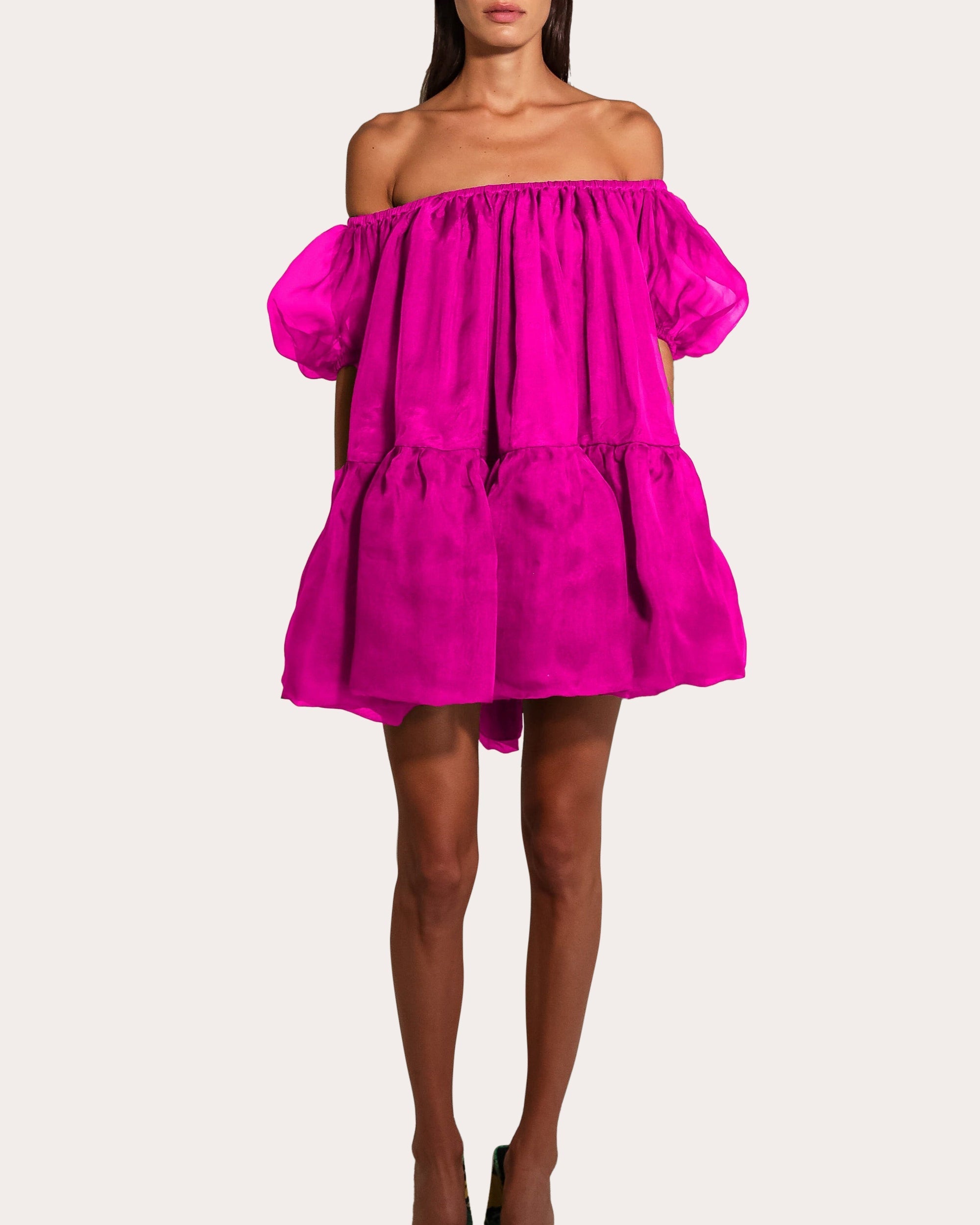 Elyssa Organza Mini Dress