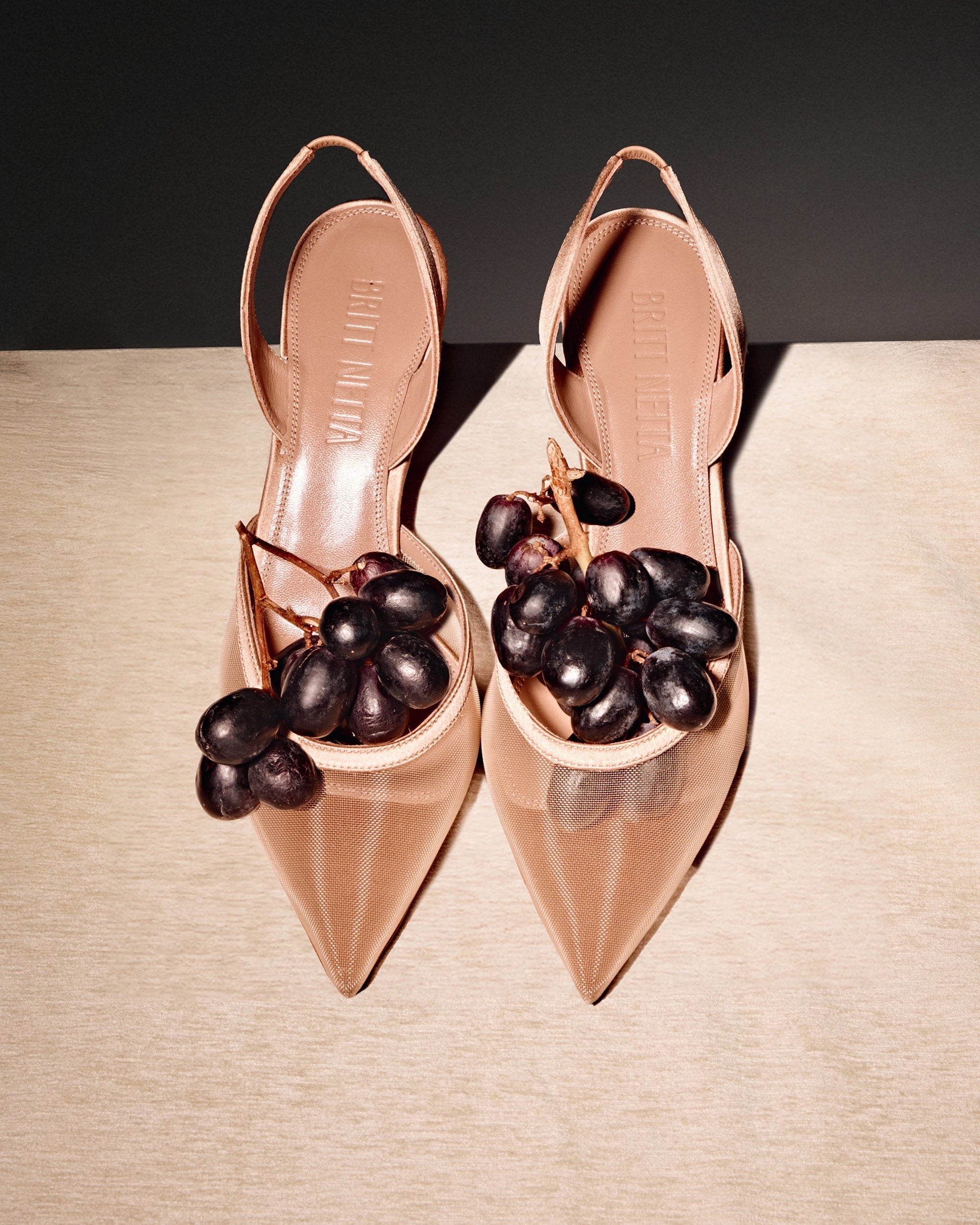 Esme 95 Satin Trimmed Mesh Slingback Pump