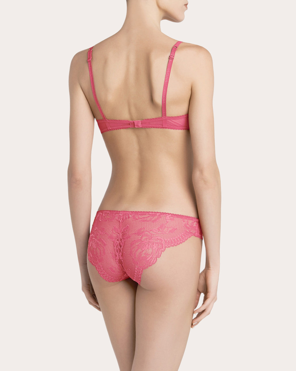Medium Brief
