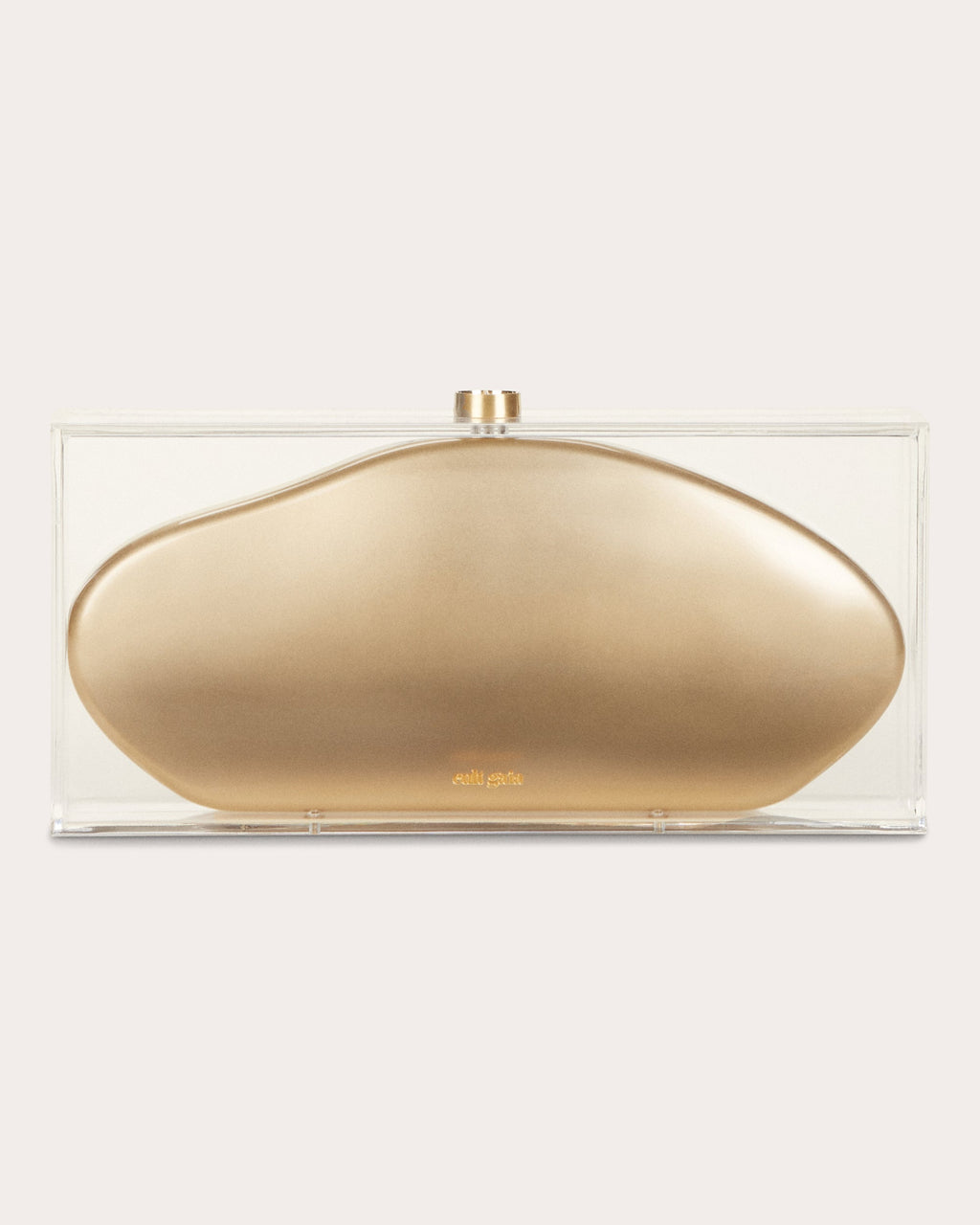 Annika Transparent Clutch