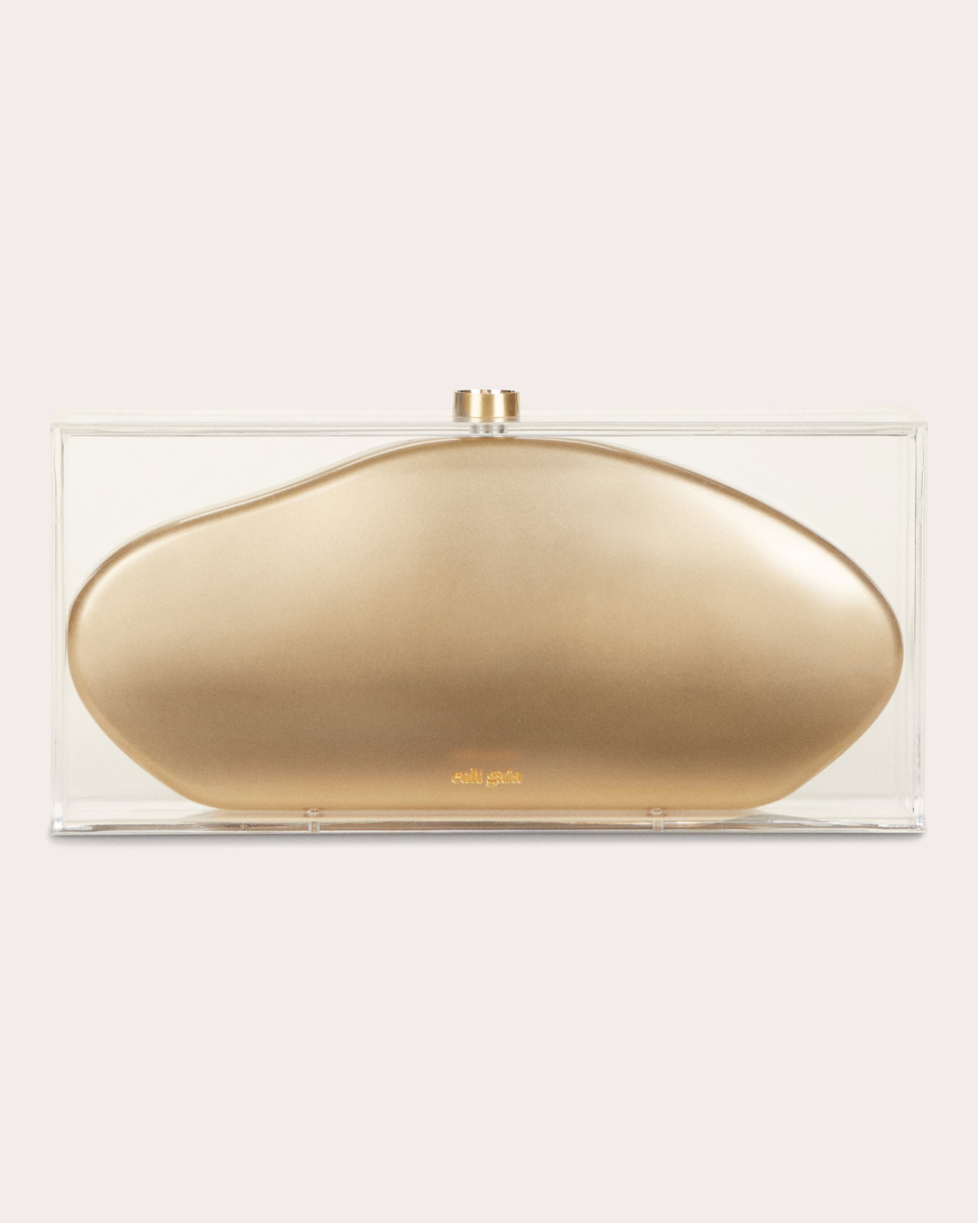 Annika Transparent Clutch
