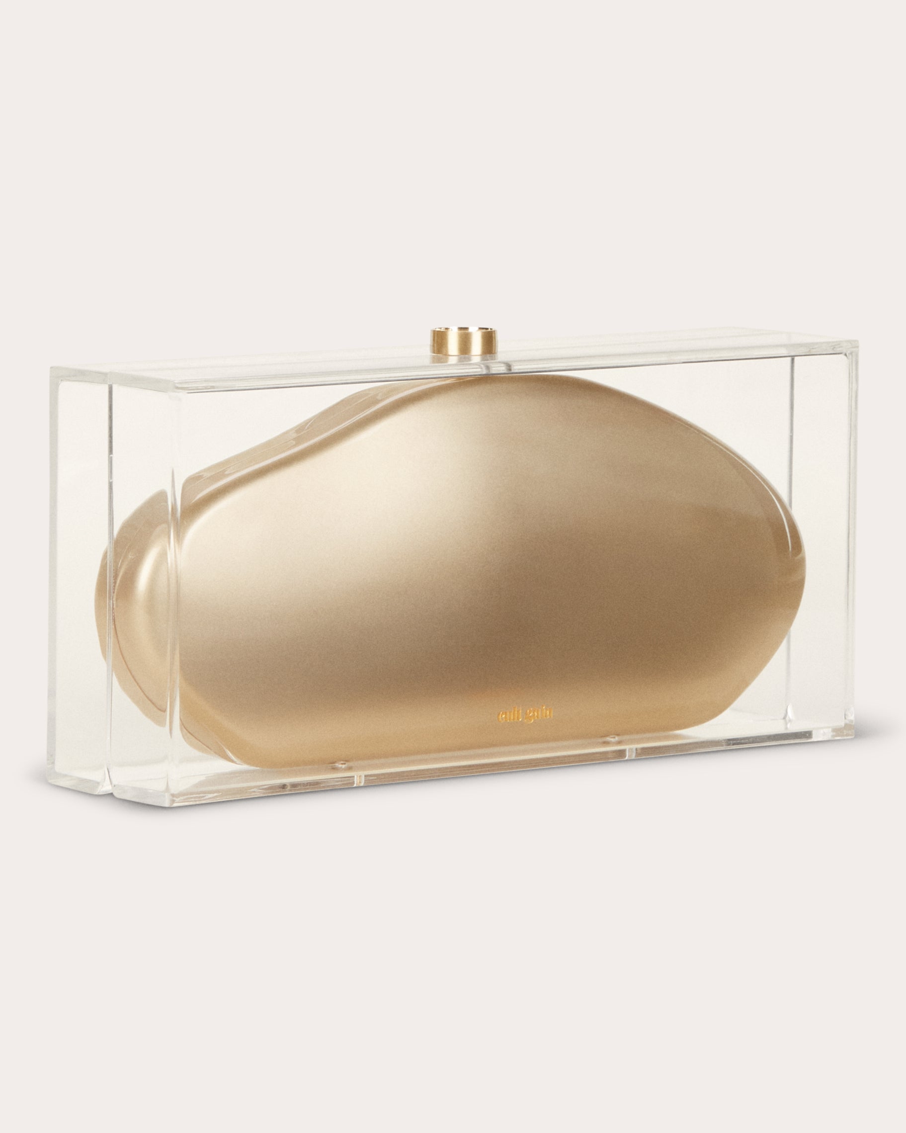 Annika Transparent Clutch