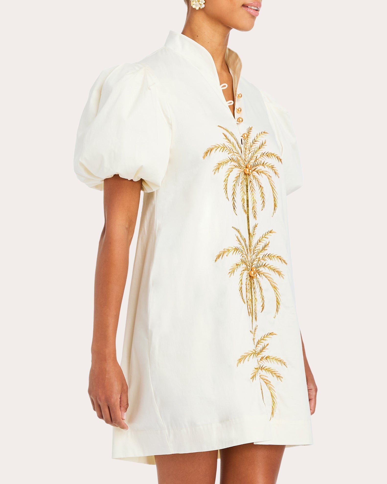 Elliana Embroidered Cotton Poplin Mini Dress