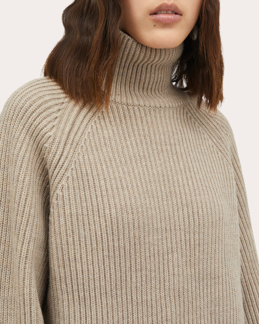 Kornelle Ribbed Wool Turtleneck Sweater