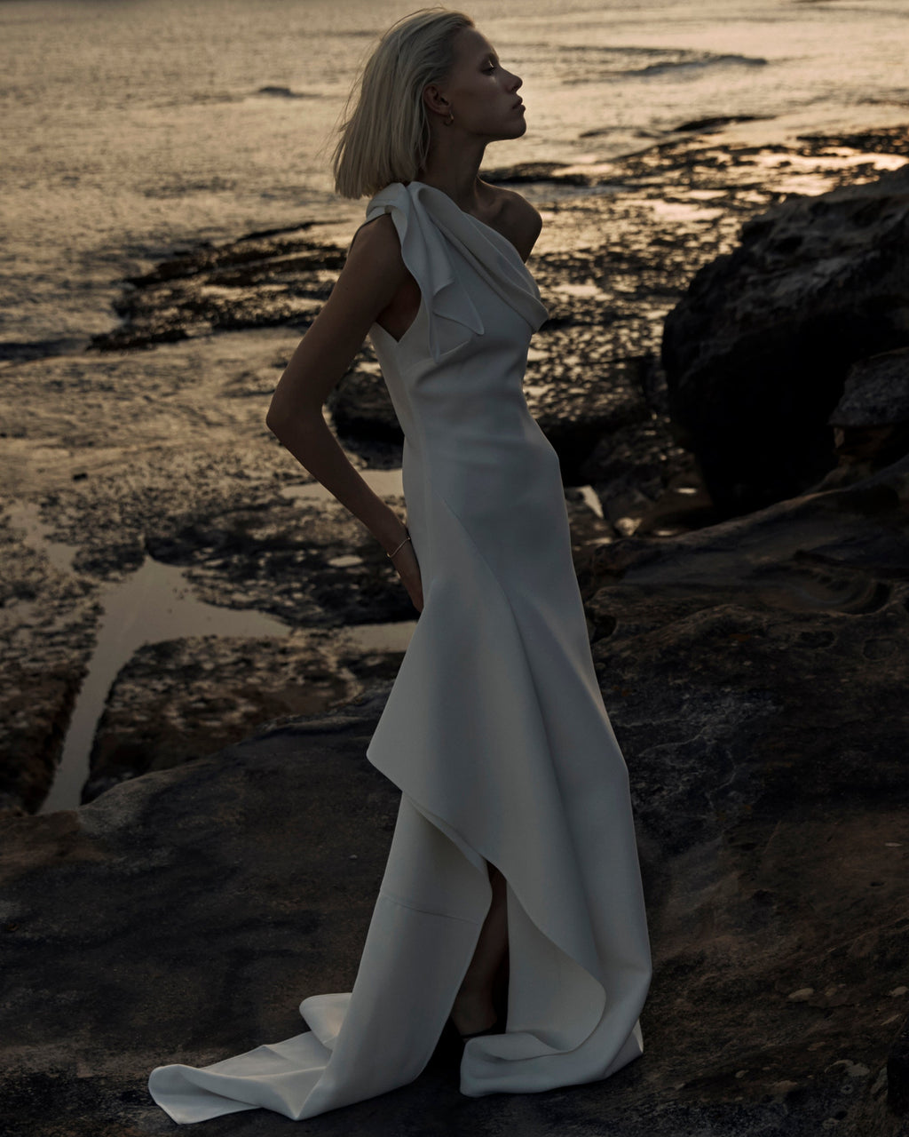 Rigorous Asymmetric Drape Gown