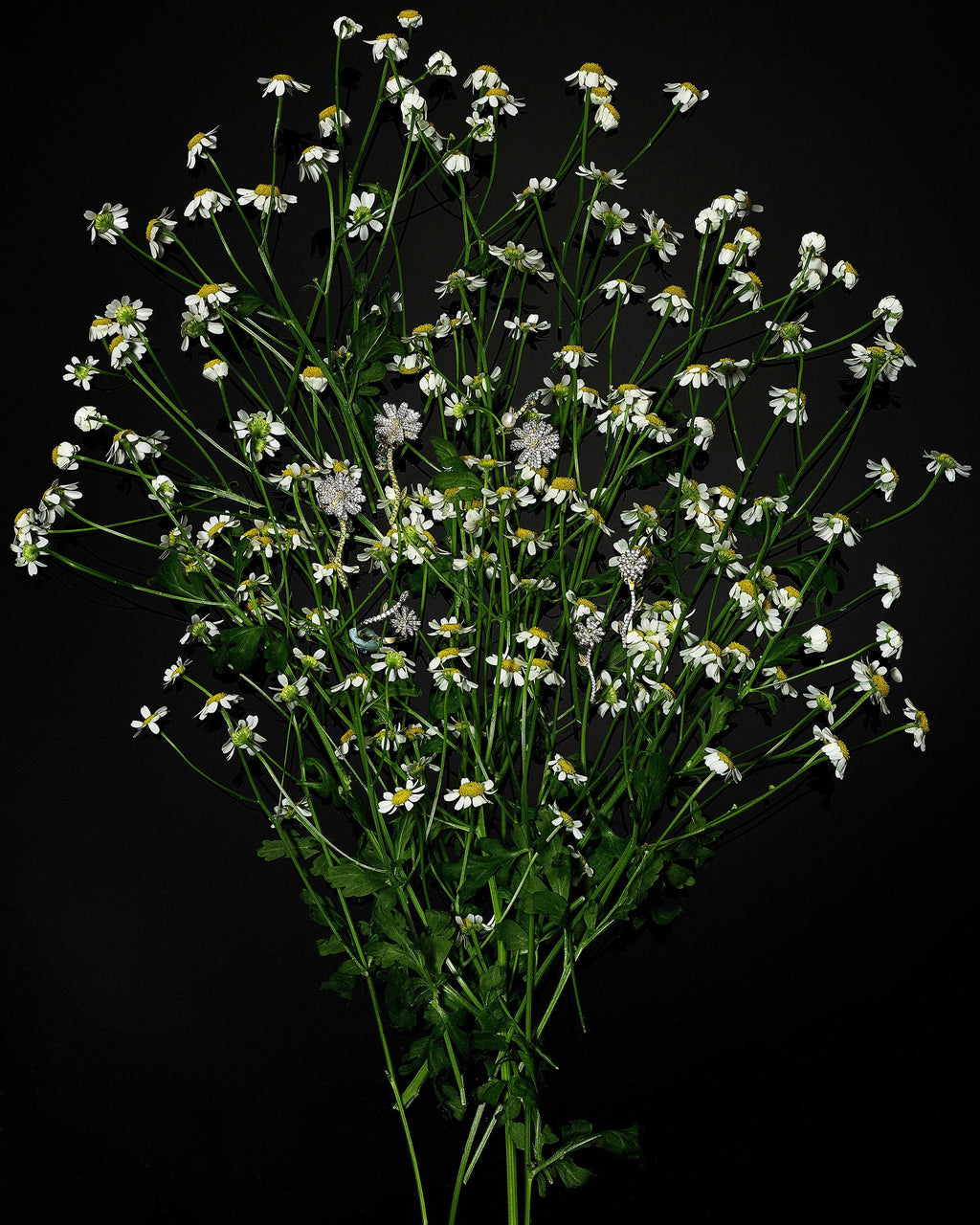 Daisy Earrings