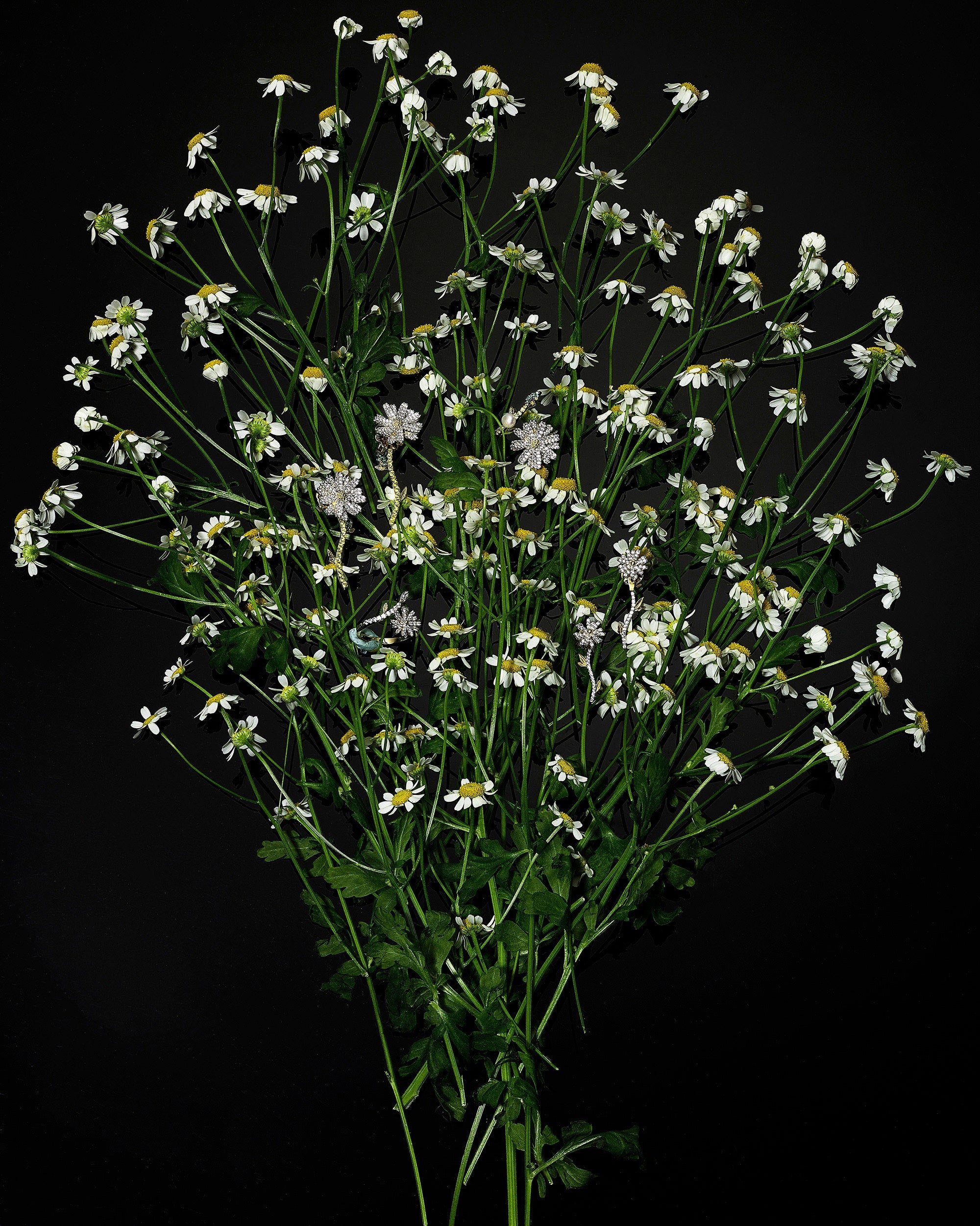 Daisy Earrings