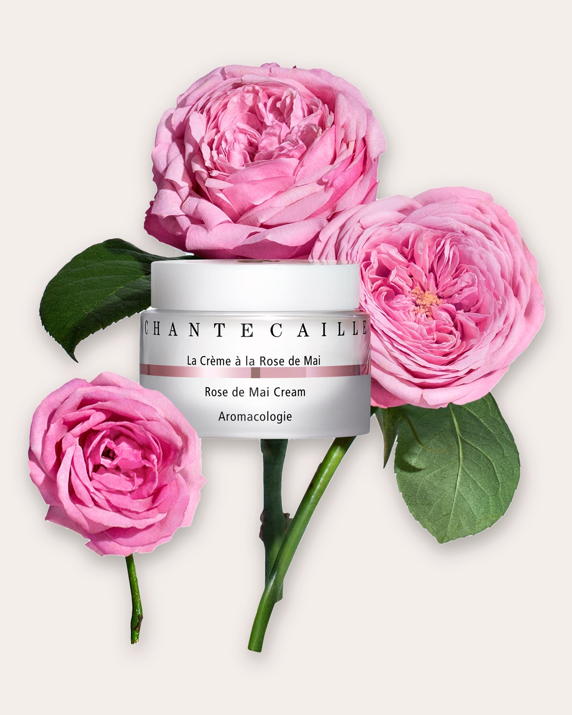 La Crème à la Rose de Mai 50ml