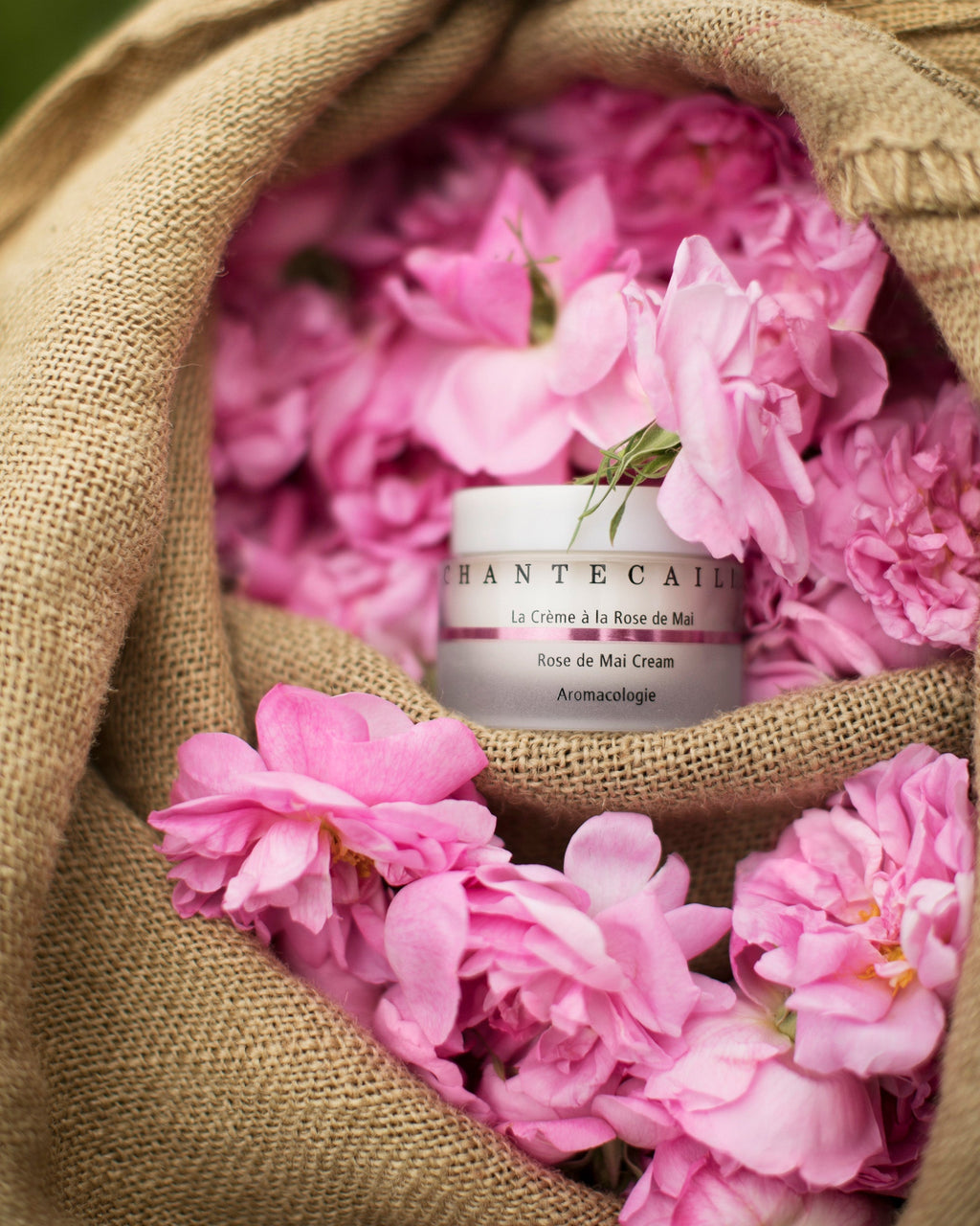 La Crème à la Rose de Mai 50ml