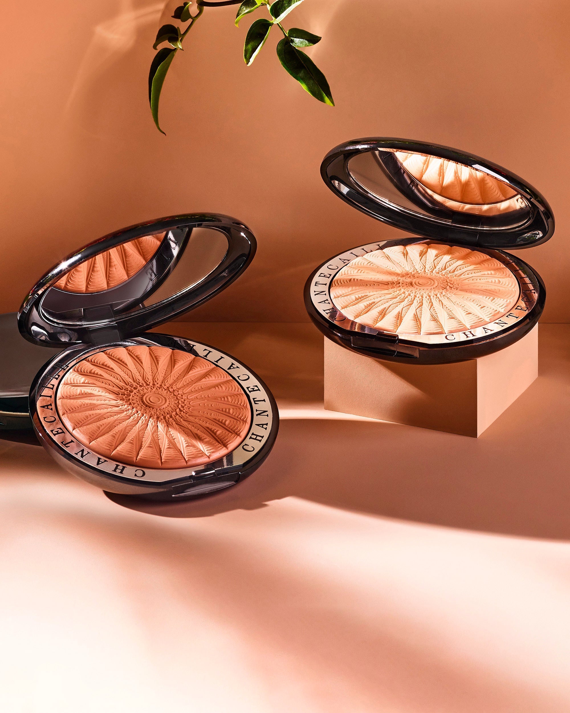 Perfect Blur Finishing Powder