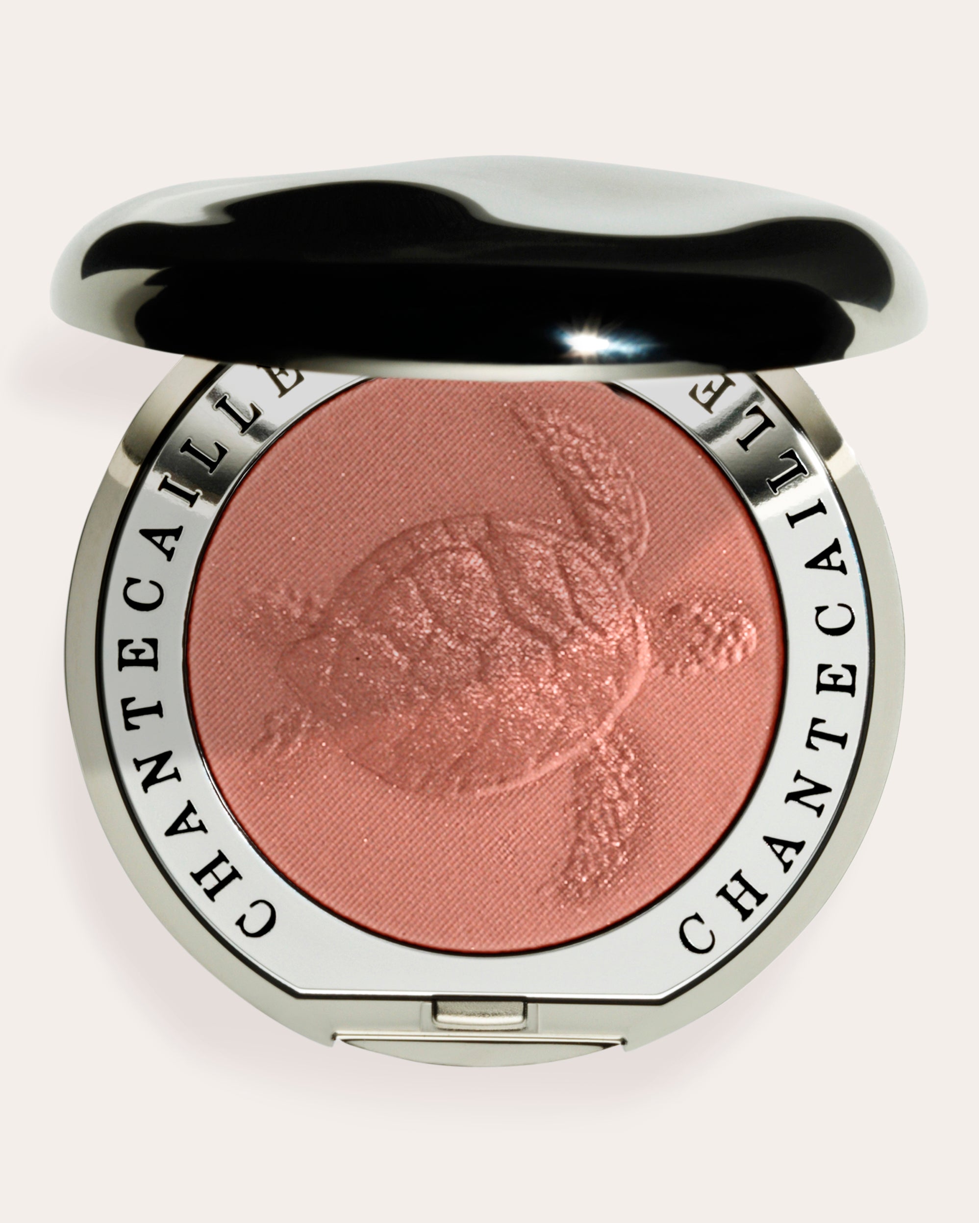 Philanthropy Cheek Shade- Turtle