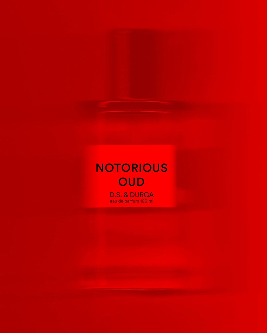 Notorious Oud Eau de Parfum 50ml