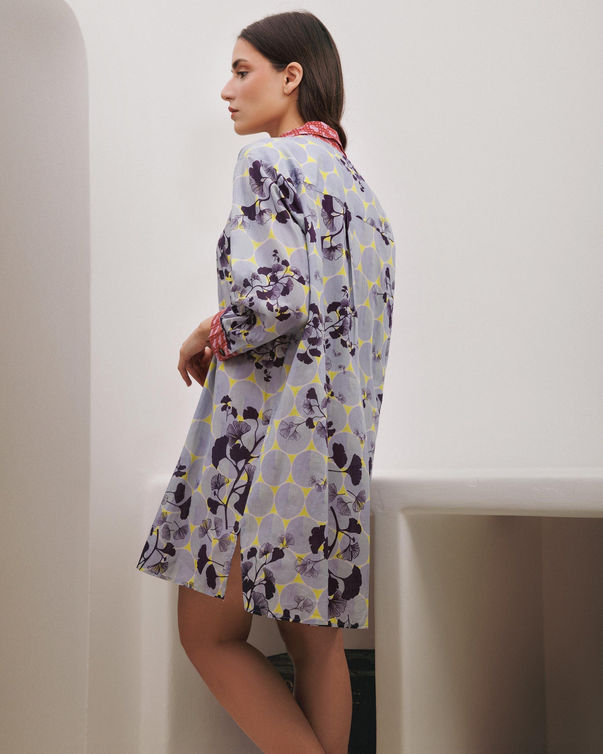 Gifu Ginko Printed Cotton Shirt Dress
