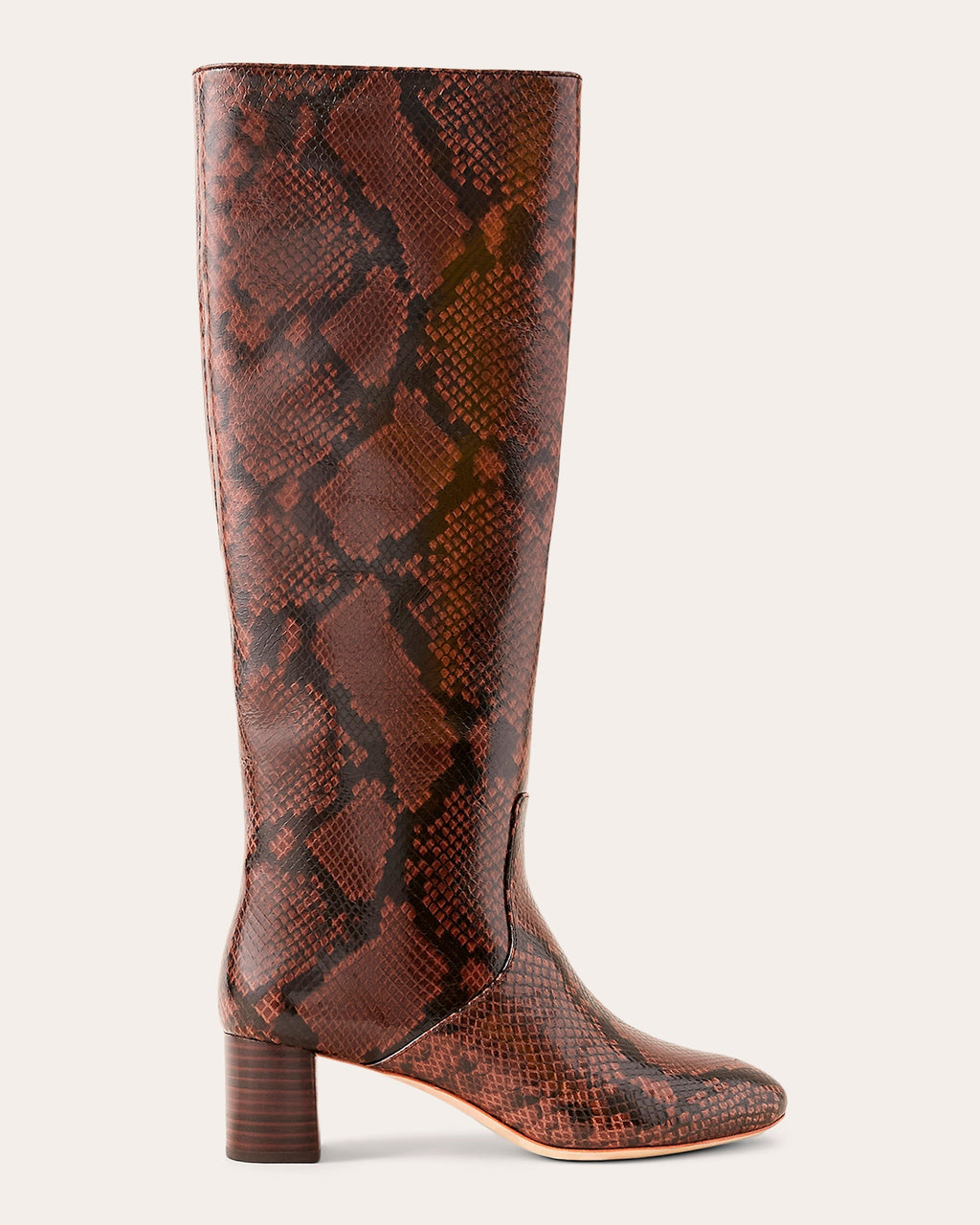 Snakeskin Mocha Gia Tall Boot