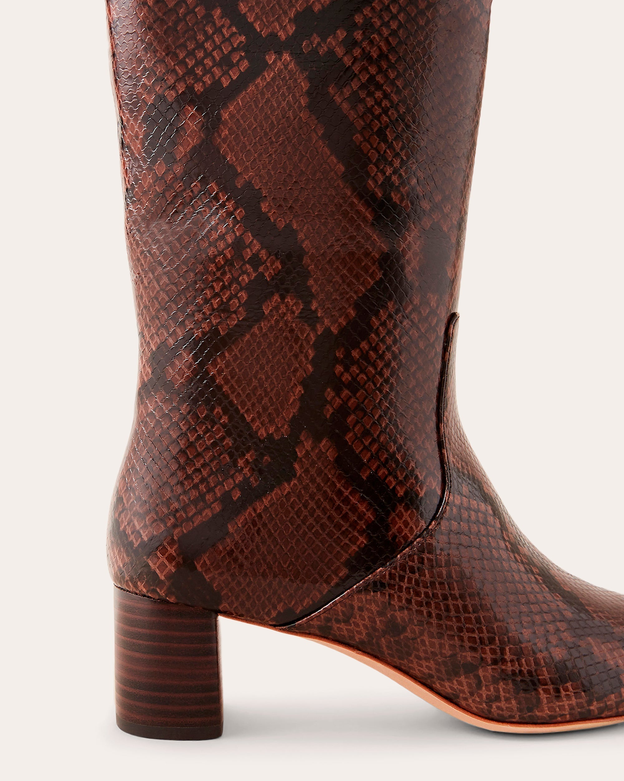 Snakeskin Mocha Gia Tall Boot