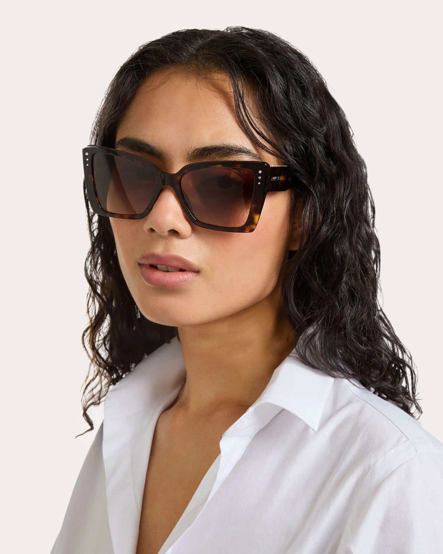 Lorea Butterfly Acetate Sunglasses