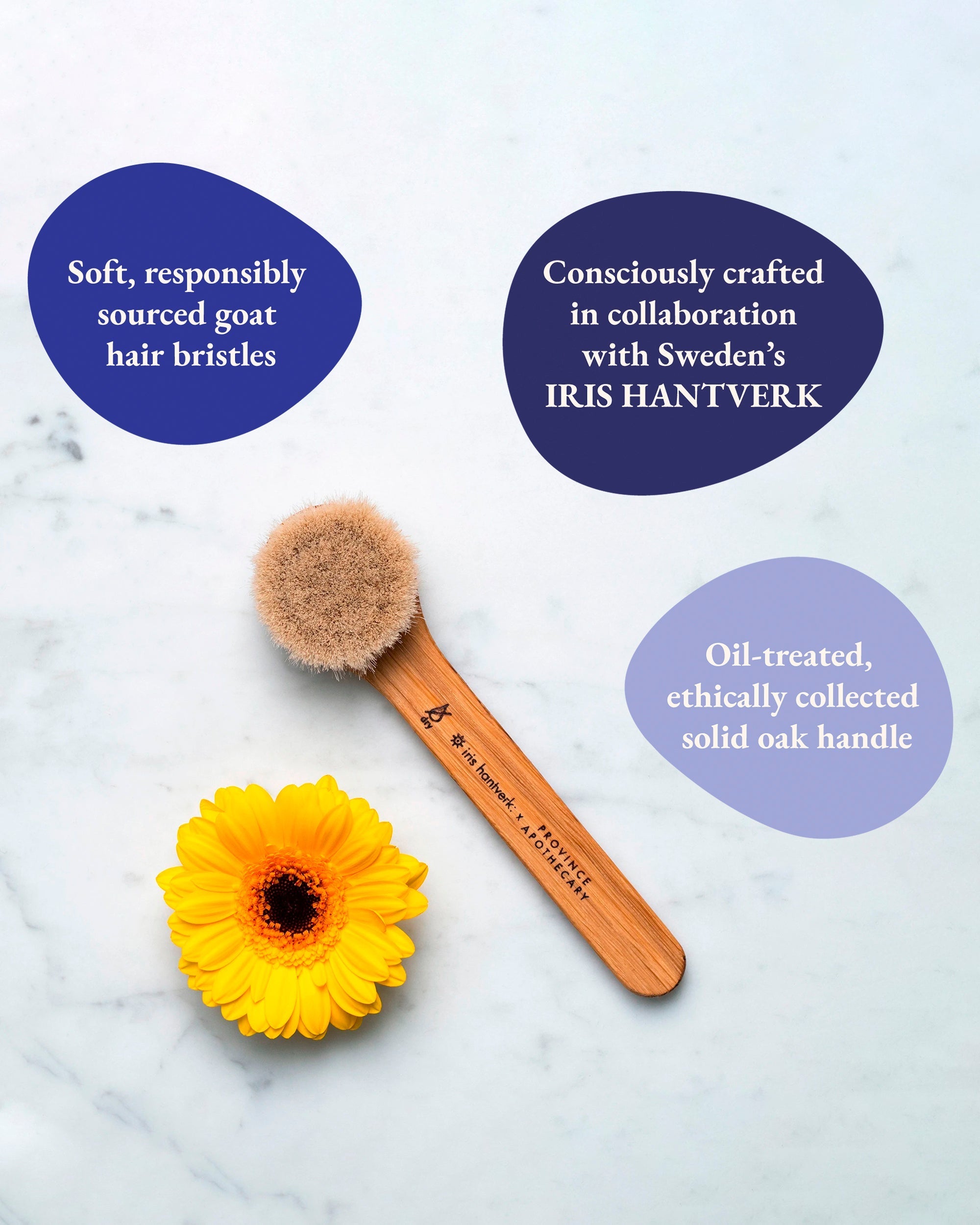 Daily Glow Facial Dry Brush